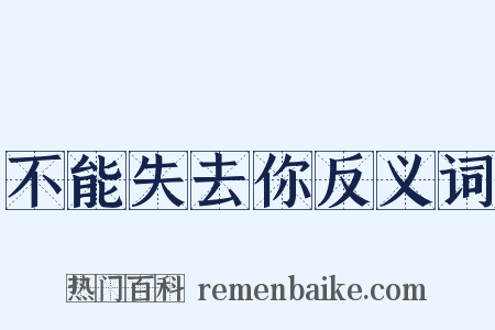 不能失去你反义词是什么意思的图片